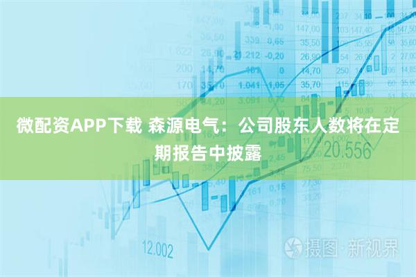 微配资APP下载 森源电气：公司股东人数将在定期报告中披露