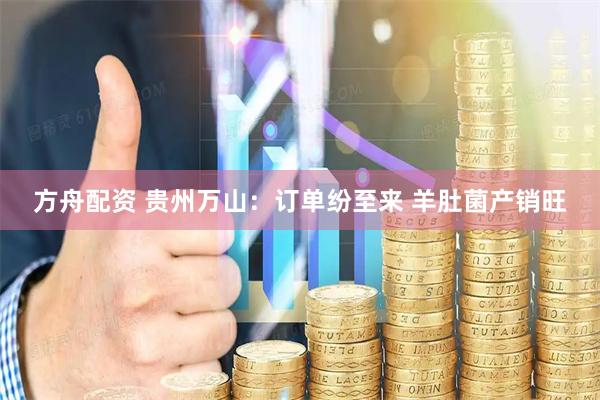 方舟配资 贵州万山：订单纷至来 羊肚菌产销旺